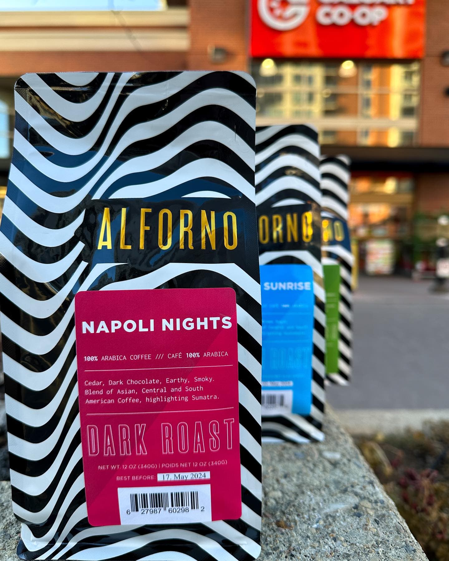 Alforno Livingston 6