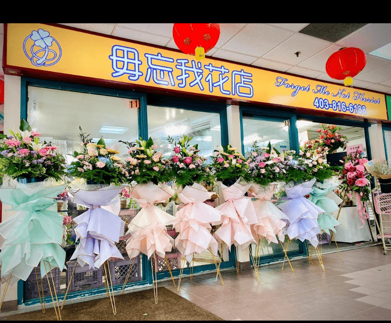 Forget Me Not Flowers